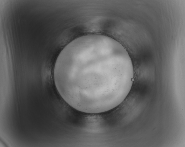 X0000102010415200808011147