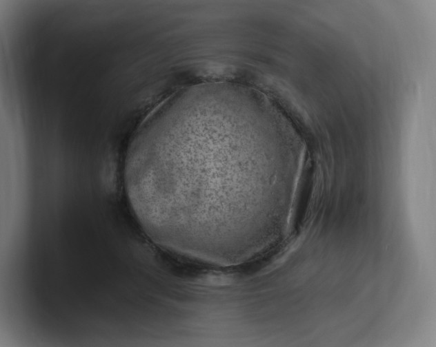 X0000102010416200808011147