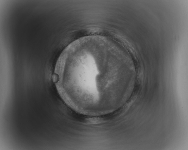 X0000102010417200808011147