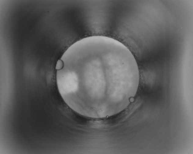 X0000102010419200808011147