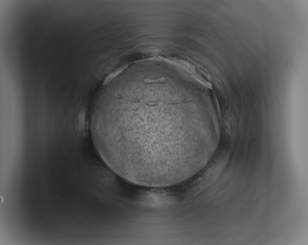 X0000102010420200808011147