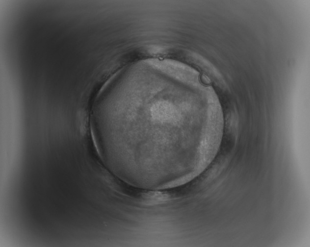 X0000102010421200808011147