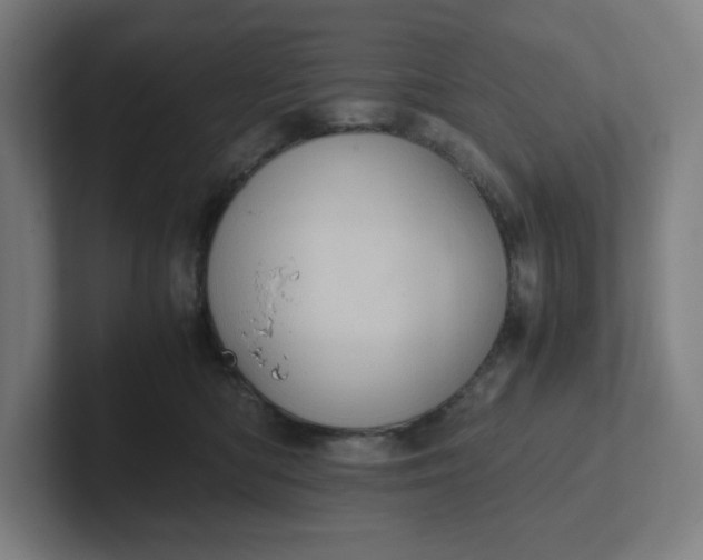 X0000102010422200808011147