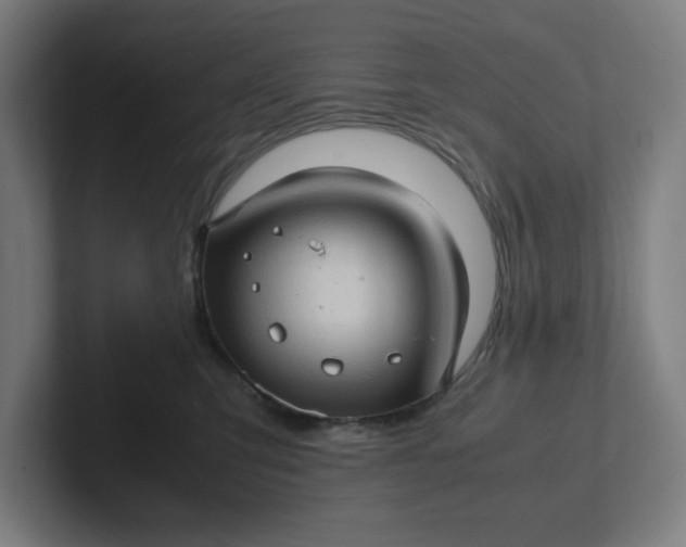 X0000102010423200808011147