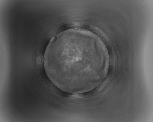 X0000102010425200808011147