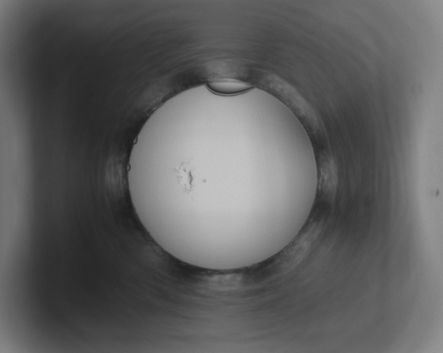 X0000102010426200808011147