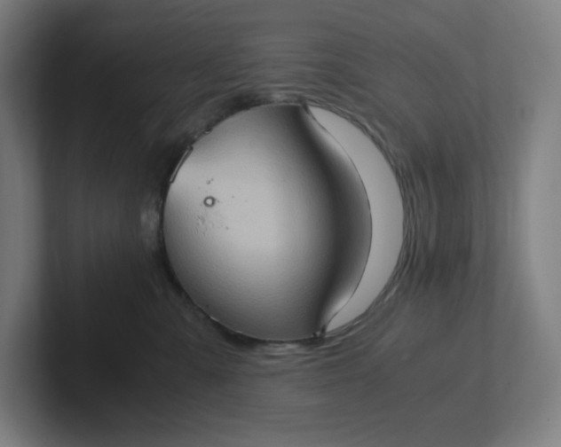 X0000102010427200808011147