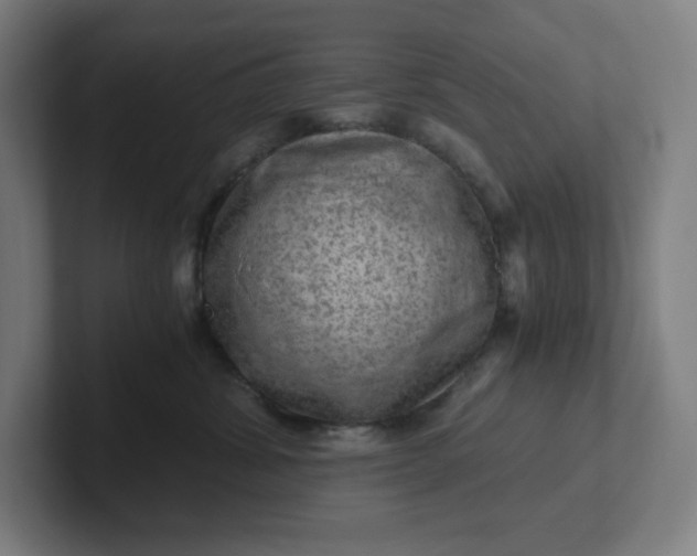 X0000102010428200808011147