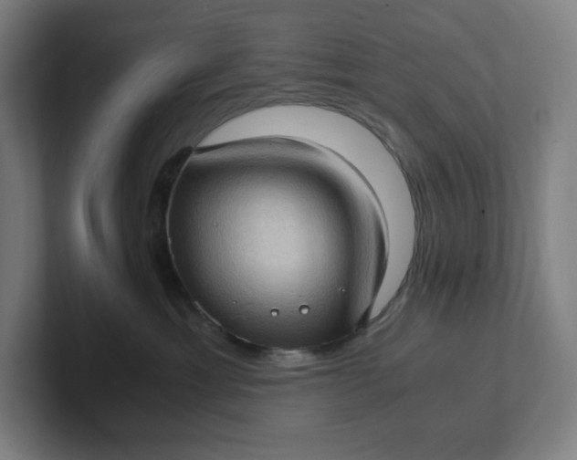 X0000102010429200808011147