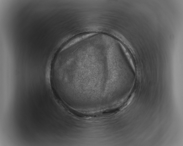 X0000102010434200808011146