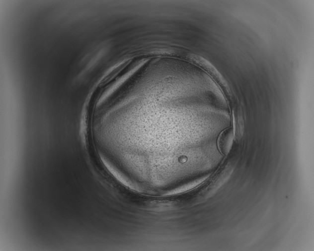 X0000102010435200808011146