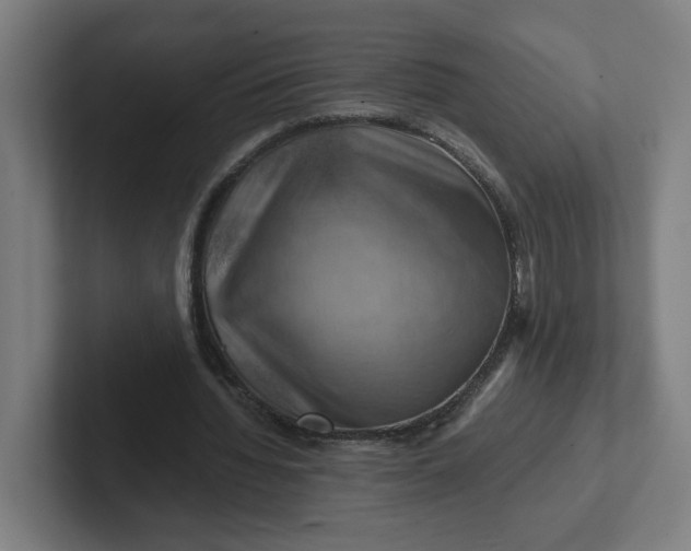 X0000102010436200808011146