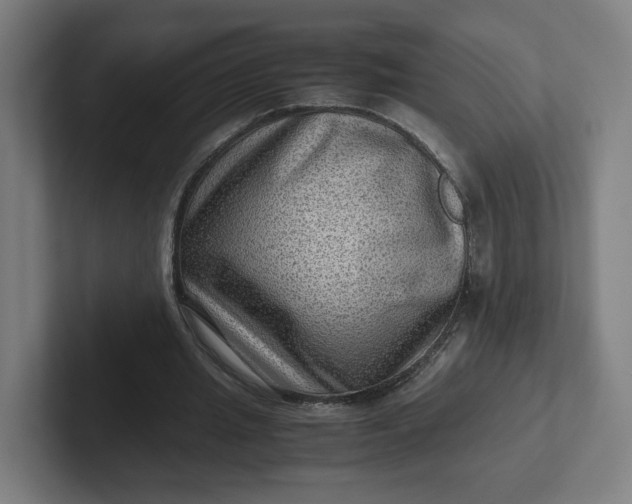 X0000102010437200808011146