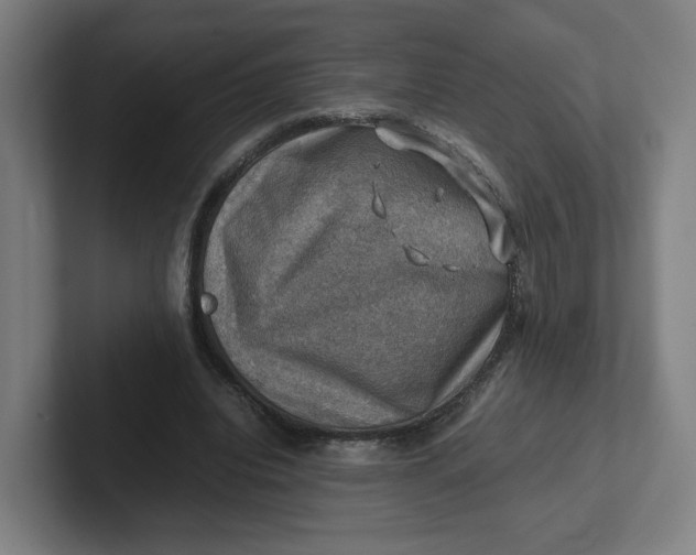 X0000102010440200808011146