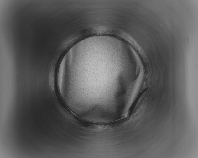 X0000102010442200808011146