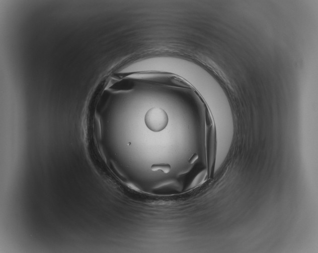 X0000102010444200808011146