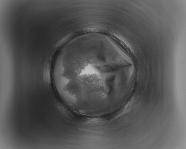 X0000102010446200808011146