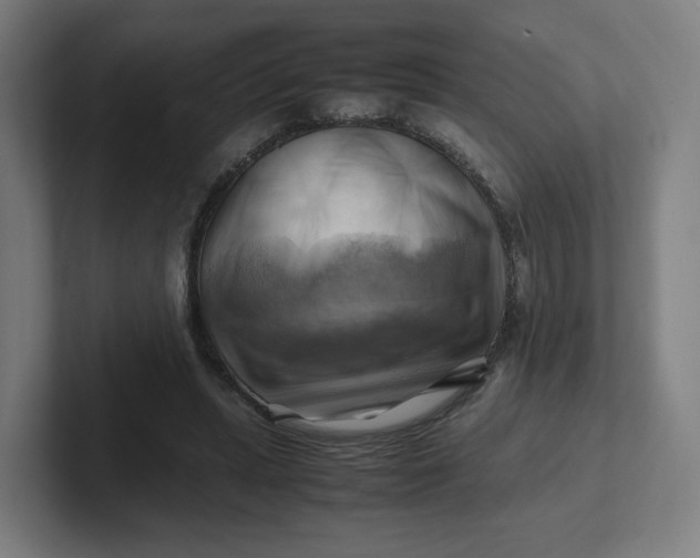 X0000102010447200808011146