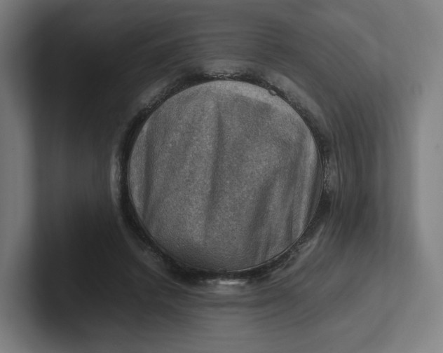 X0000102010448200808011146