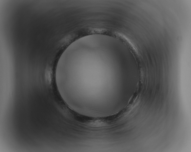 X0000102010451200808011146