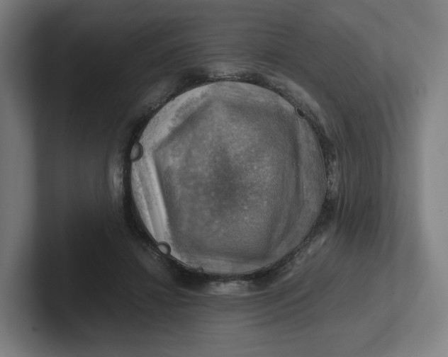 X0000102010452200808011146