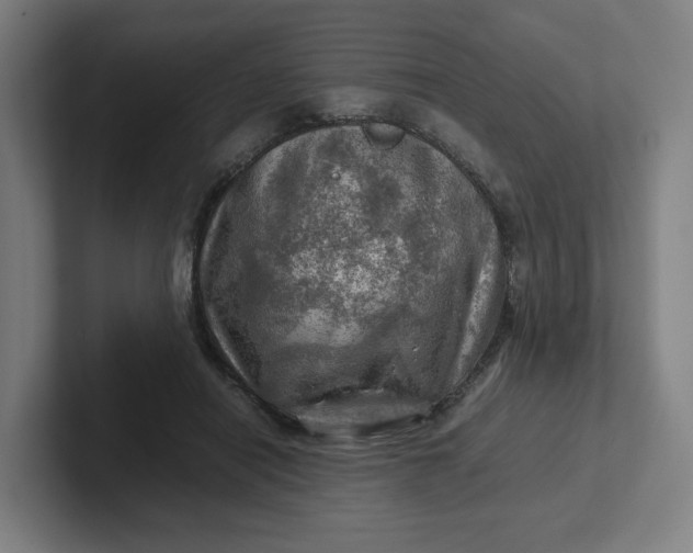 X0000102010454200808011146