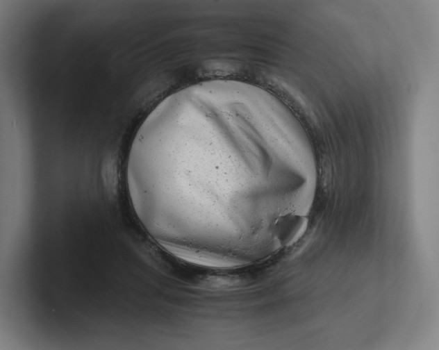 X0000102010455200808011146