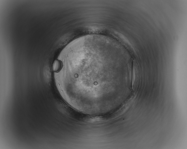 X0000102010456200808011146