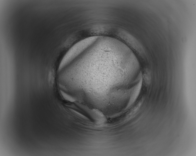 X0000102010458200808011146