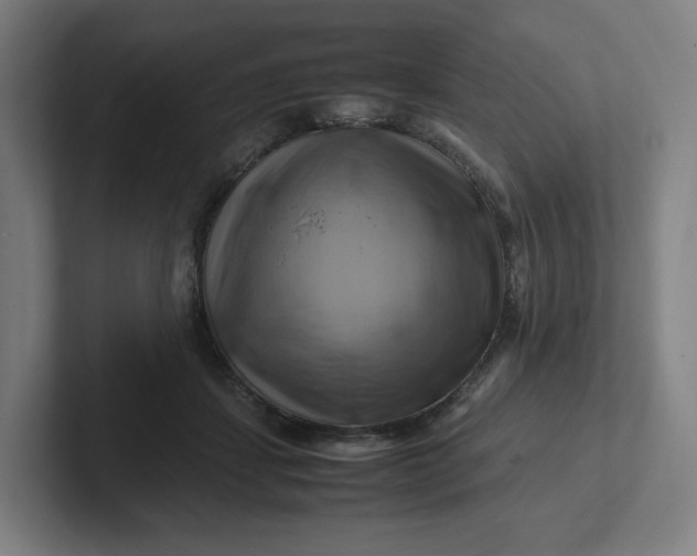 X0000102010459200808011146