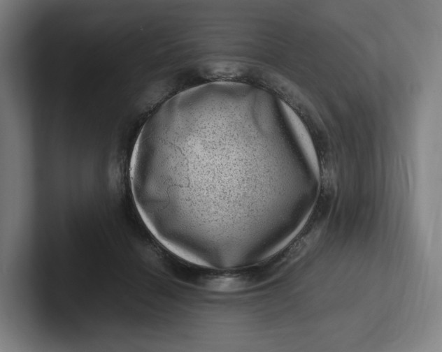 X0000102010460200808011146