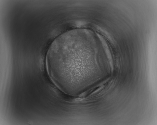 X0000102010461200808011146