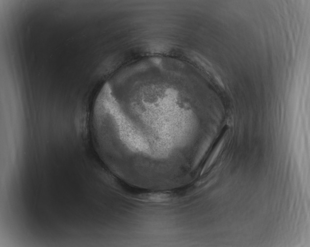 X0000102010462200808011146