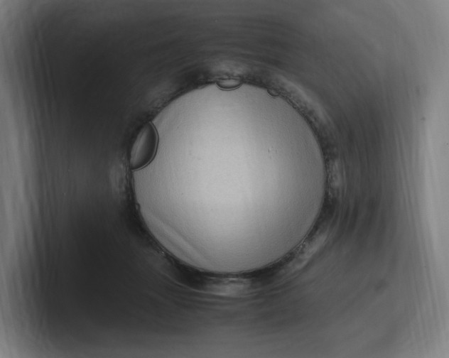 X0000102010463200808011146