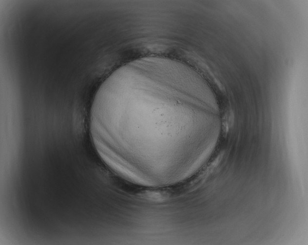 X0000102010464200808011146