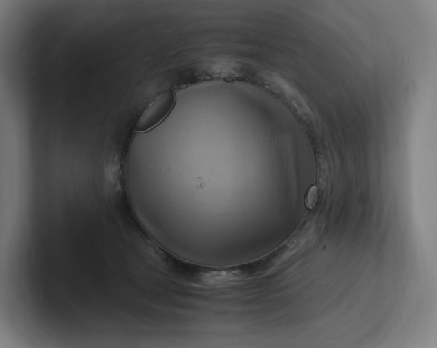 X0000102010465200808011146