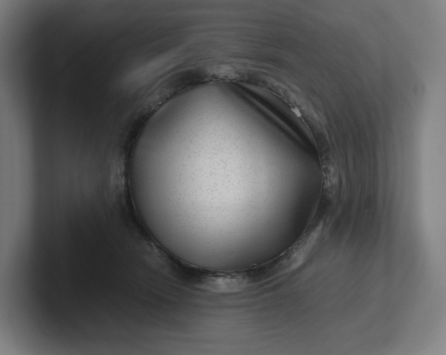 X0000102010466200808011146