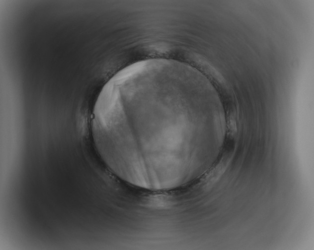 X0000102010468200808011146