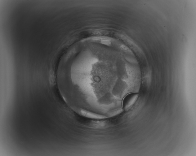 X0000102010469200808011146