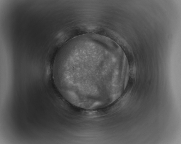 X0000102010472200808011146