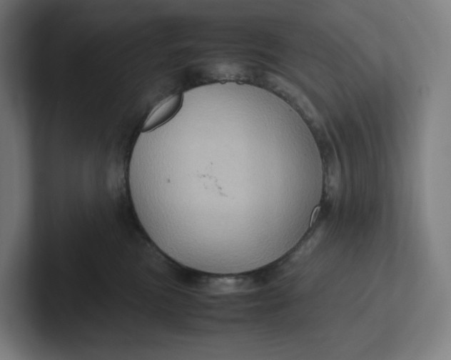 X0000102010473200808011146