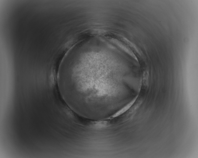 X0000102010474200808011147