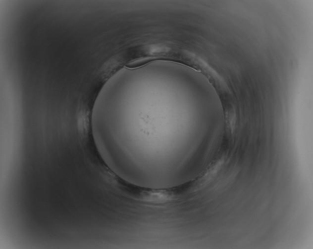 X0000102010475200808011147