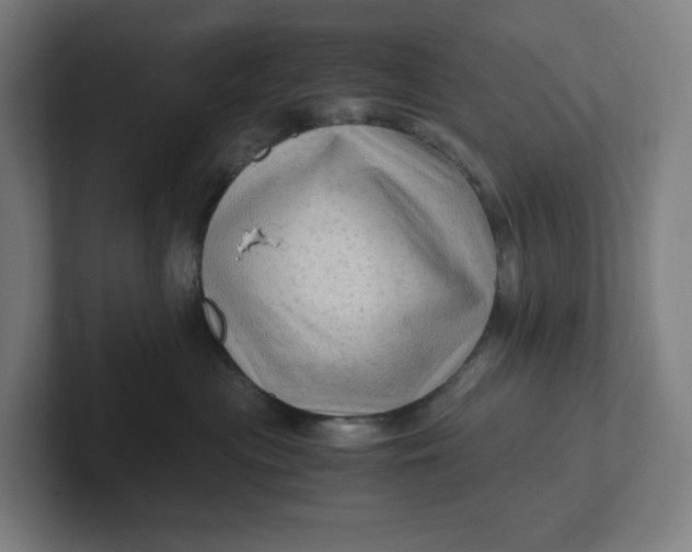 X0000102010477200808011147