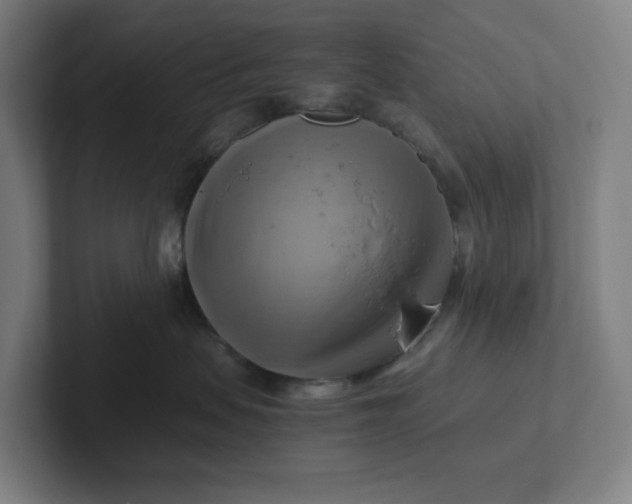 X0000102010479200808011147