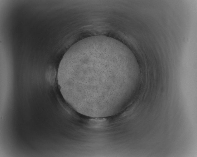 X0000102010480200808011147