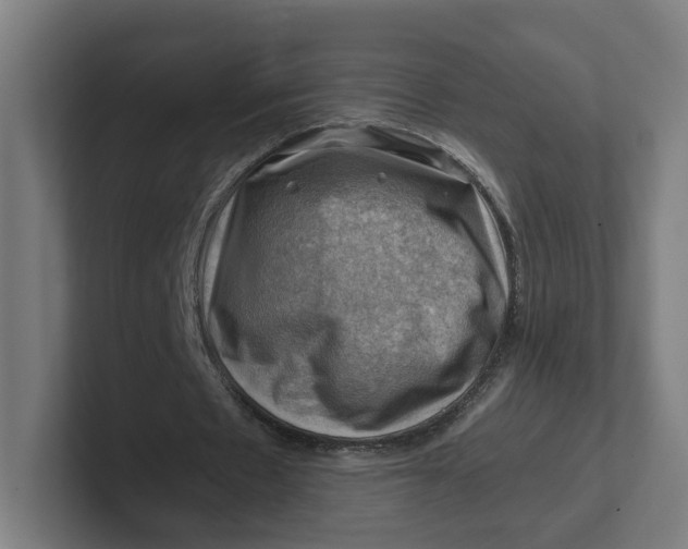 X0000102010481200808011146