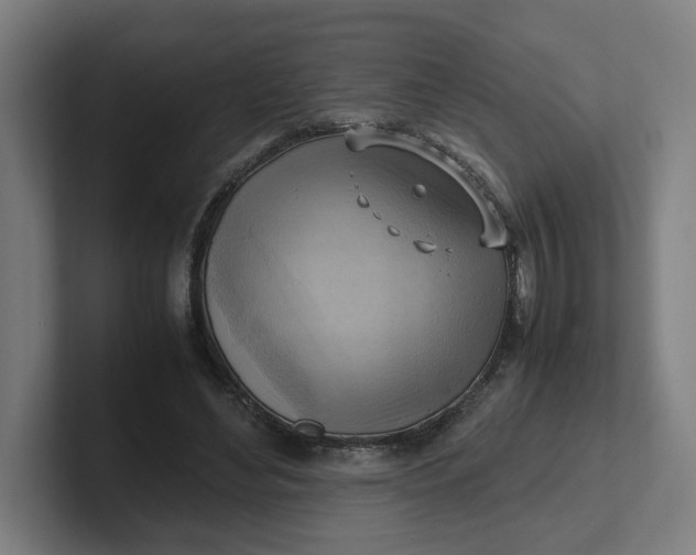 X0000102010492200808011146