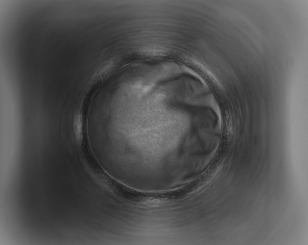 X0000102010494200808011146