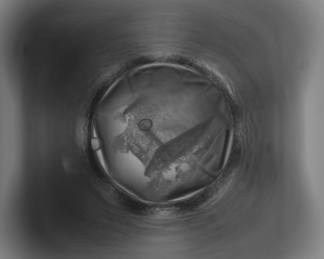 X0000102010495200808011146